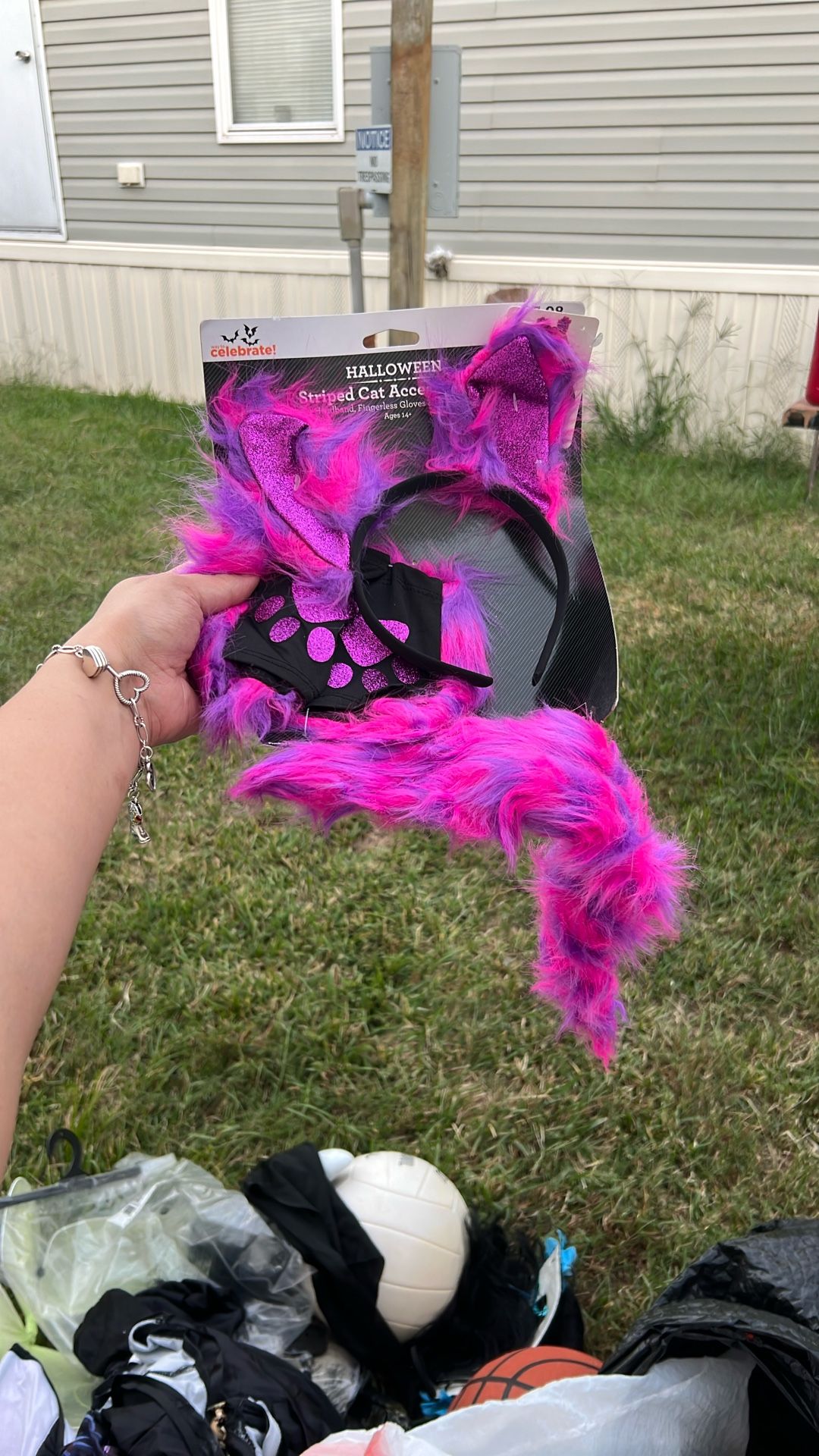 Striped Cat Accessory Kit
