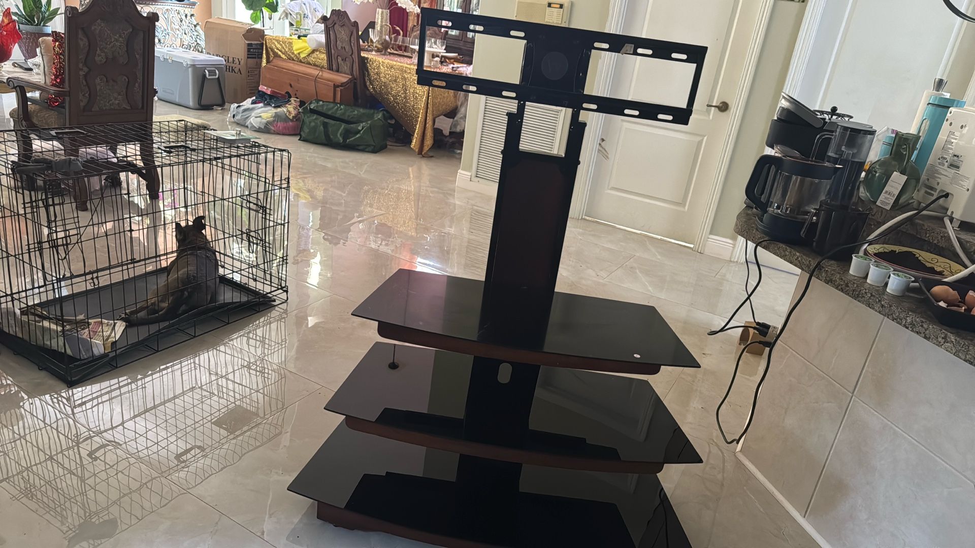 Gaming Stand/TV