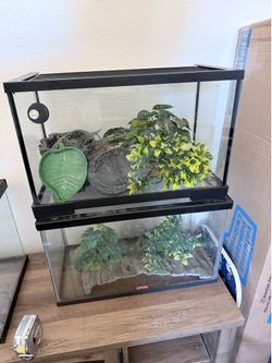 10 Gallon Reptile tanks