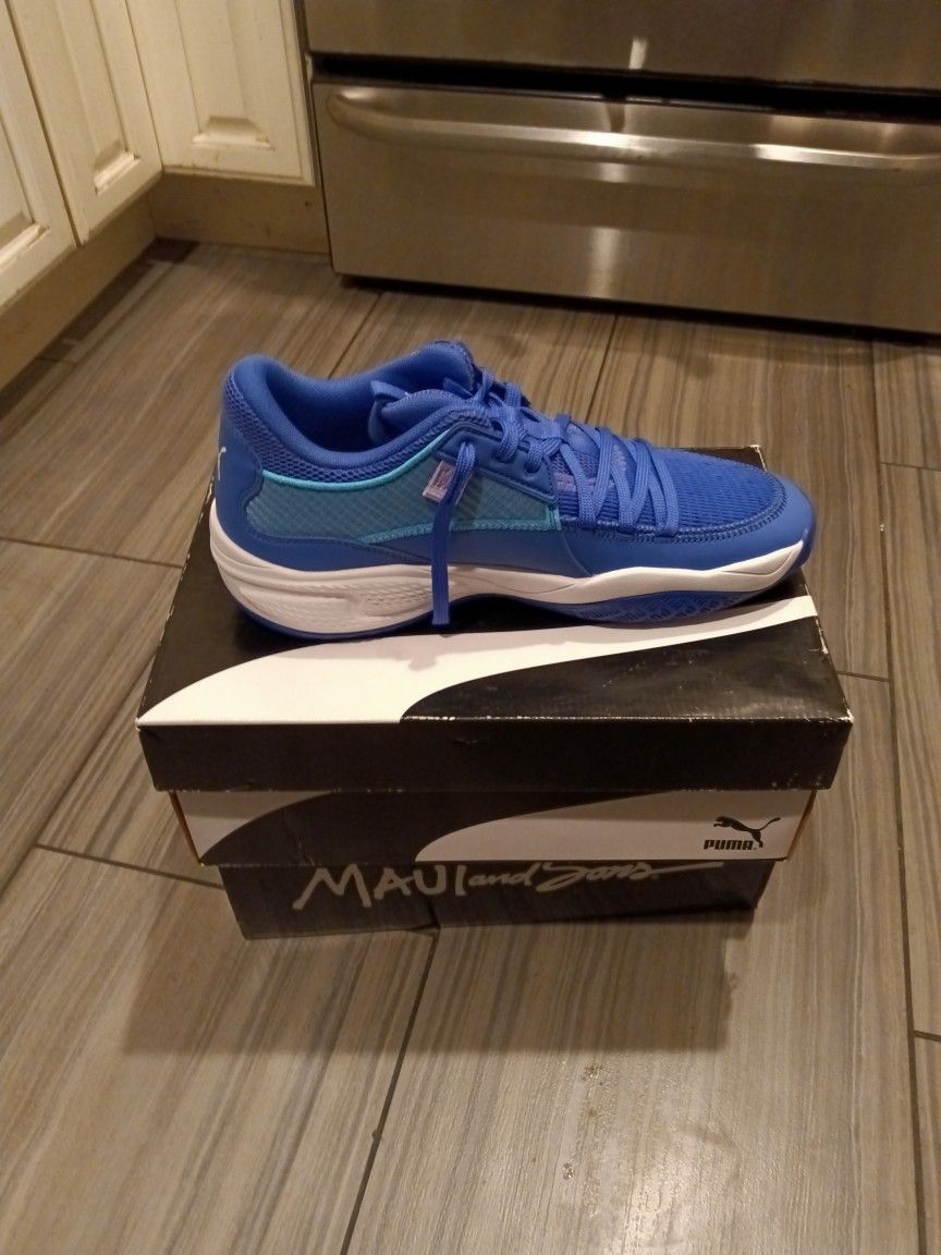 Puma's Court Riders