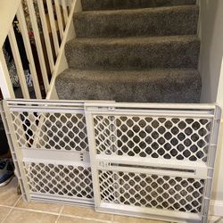 Dog Gate 