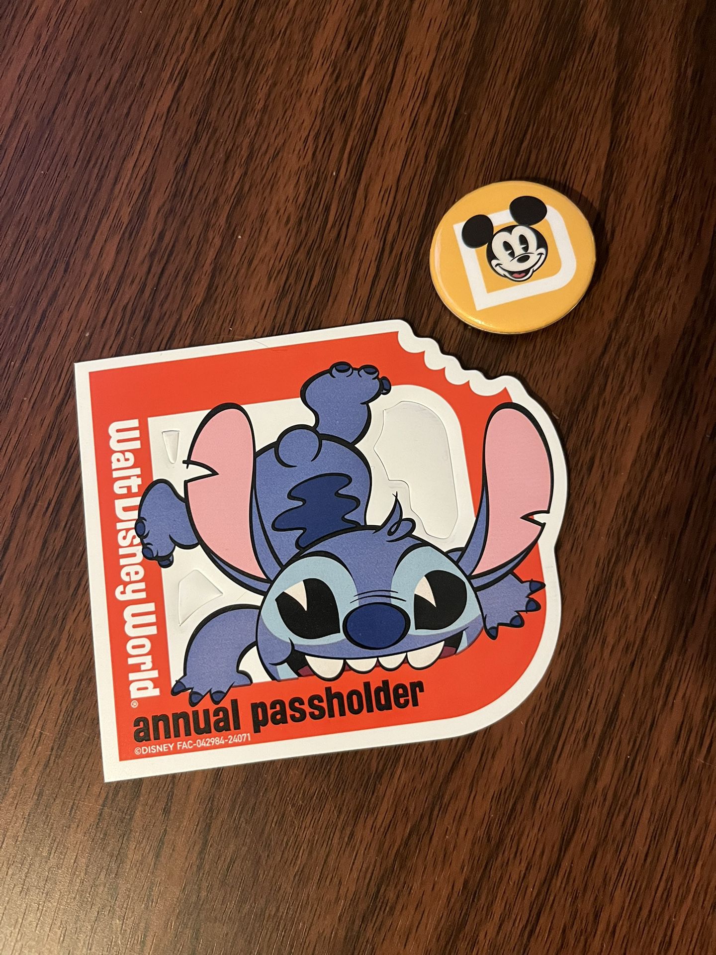 Disney Passholder Magnet and Button