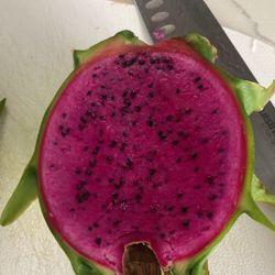 Planta De Fruta Del Dragón 6ft