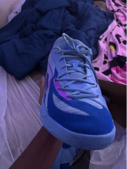nxt pro circuit shoes
