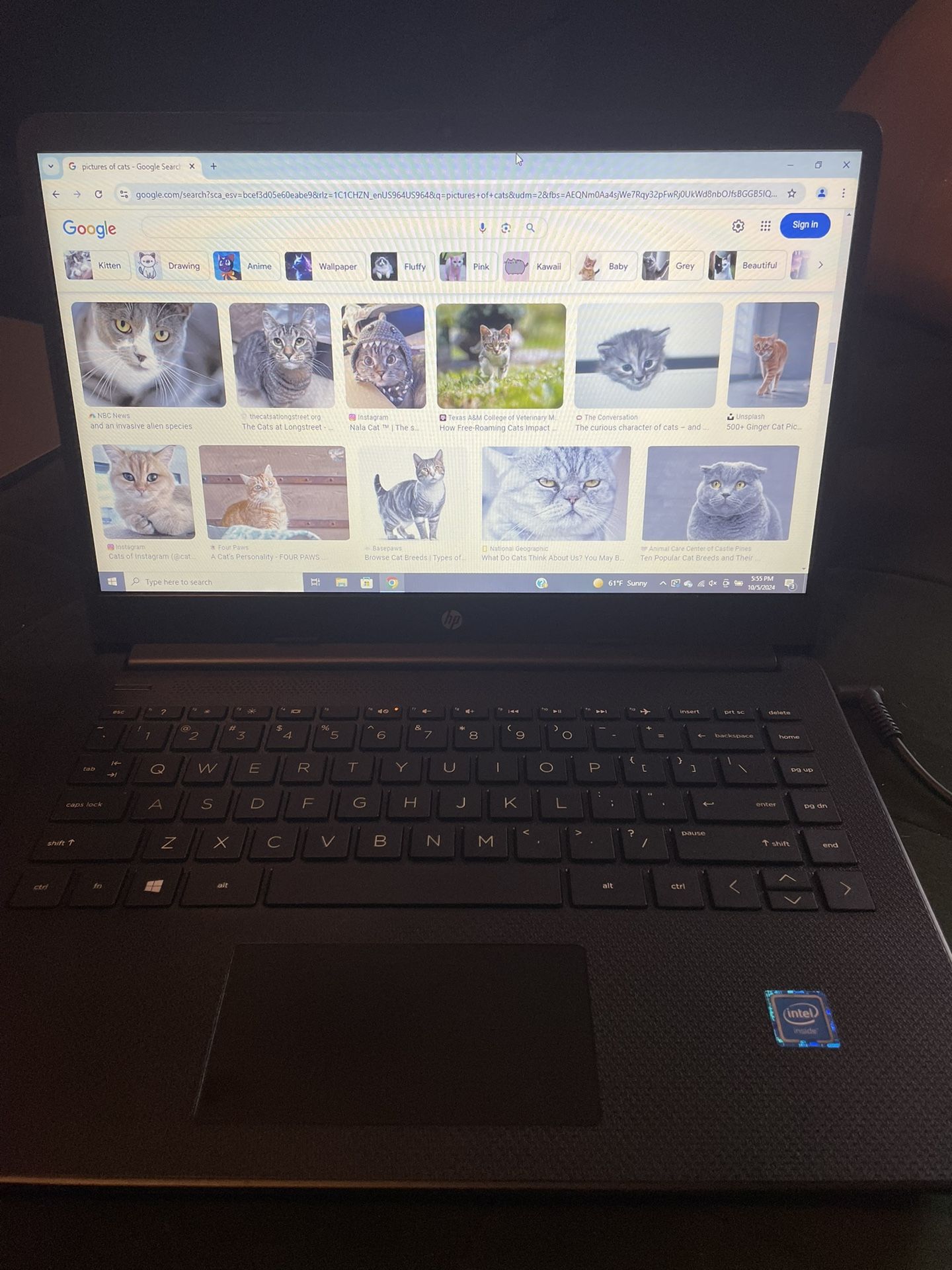 HP 64GB Memory 4GB RAM Laptop (Barely Used)