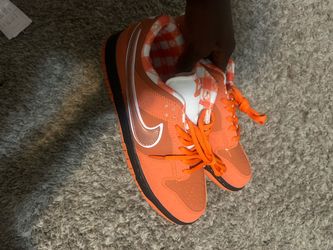 Orange Lobster Sb Dunks