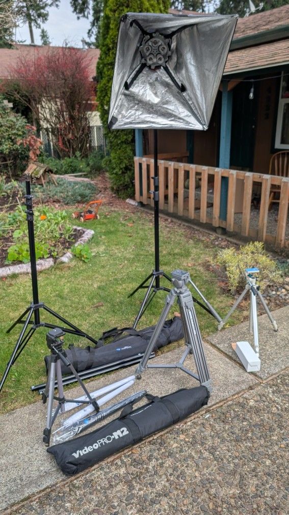 Photography Lot: Tripods, Light Stands, Light 