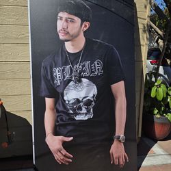 NETON VEGA 7 X 4 FEET POSTERS GATORBOARD