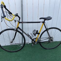 Centurion Road Bike 🚴‍♀️ 