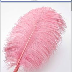 120pcs Natural Lotus Pink Ostrich Feathers 12-14inch (30-35cm) for Wedding Party Centerpieces，Flower Arrangement and Home Decoration.