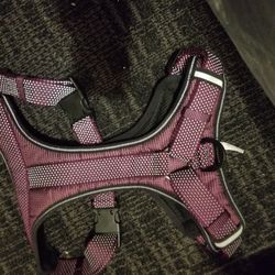 XL DOG HARNESS 