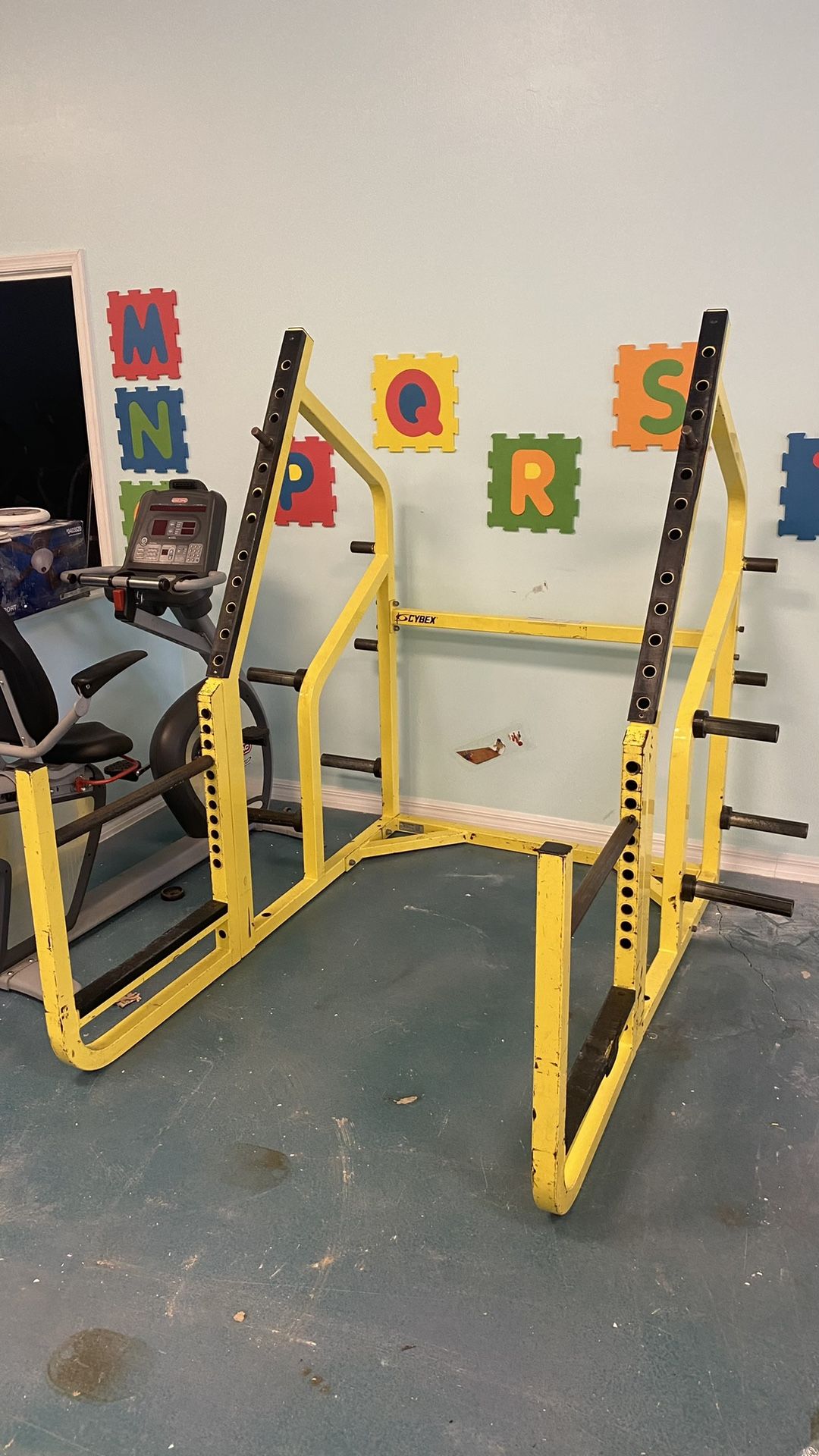 Cybex Olympic Squat Rack With Safety & 10 Weight Plate Holders