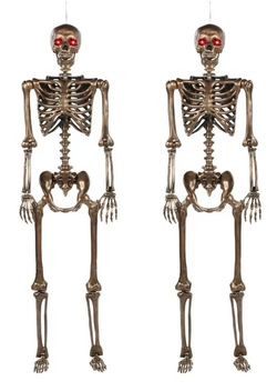 Member's Mark Animated Skeleton Decor 2 set
