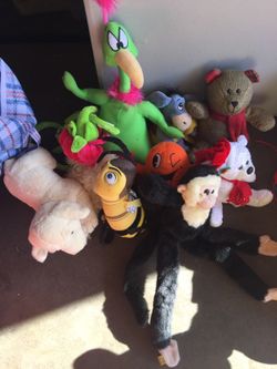 Stuffed animals