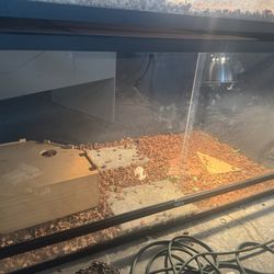 Dubia 4x2x2 Enclosure 