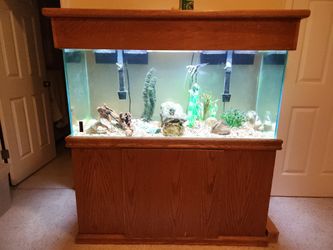 Aquarium -90 gallon