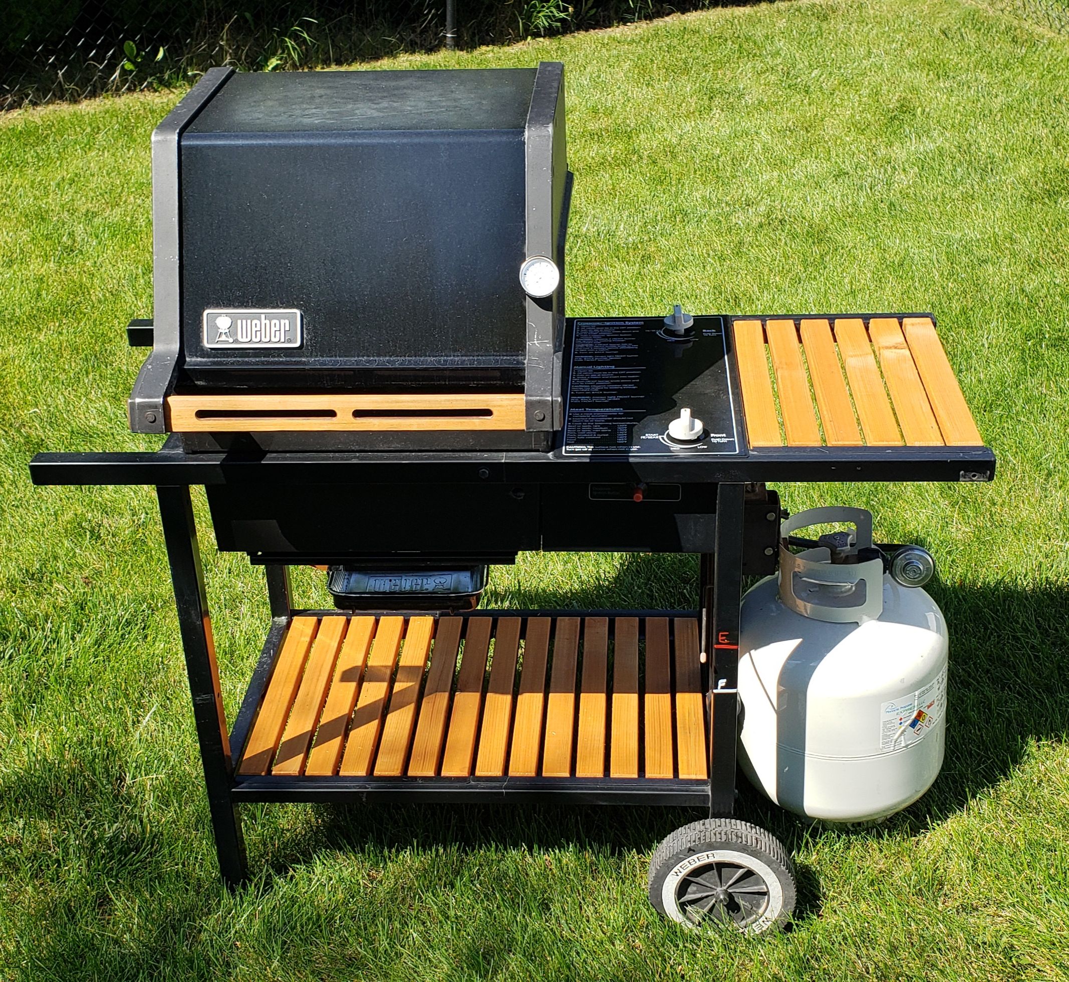 er Genesis Jr. Lp grill. Vintage for Sale in Lake in the Hills, IL