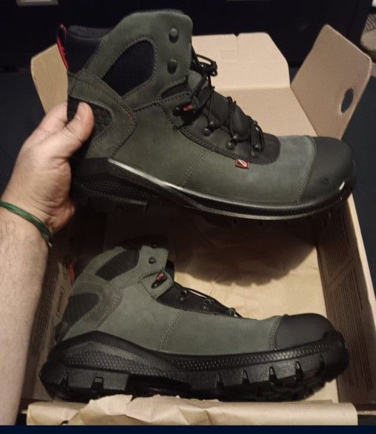 RED WINGS