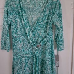 Women's Dress Size Large