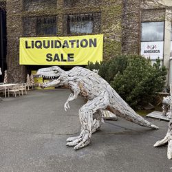 MEGA SALE! Driftwood Teak T-Rex Statue (10% Off)