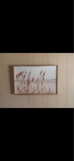 Wheat picture