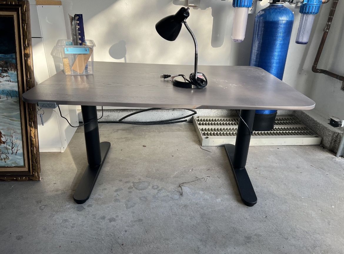 IKEA Stand Up Desk