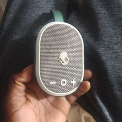 Skullcandy Speaker 