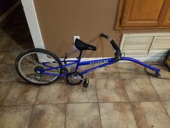 Alley cat hitch hiker