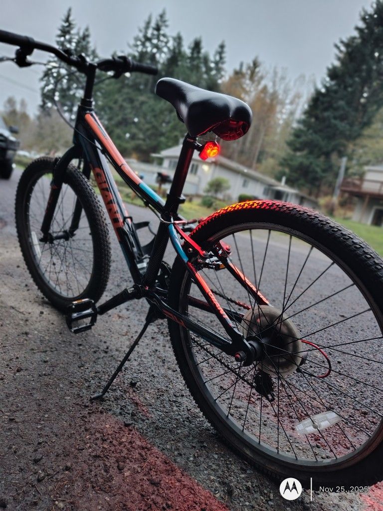 Giant Mountain Bike 24'