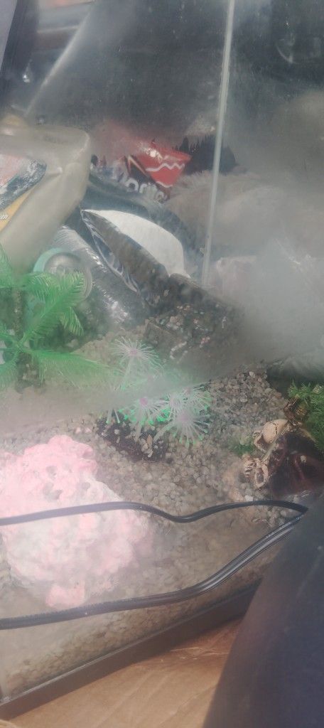 Complete Square Fish Tank Rectangle Shaped