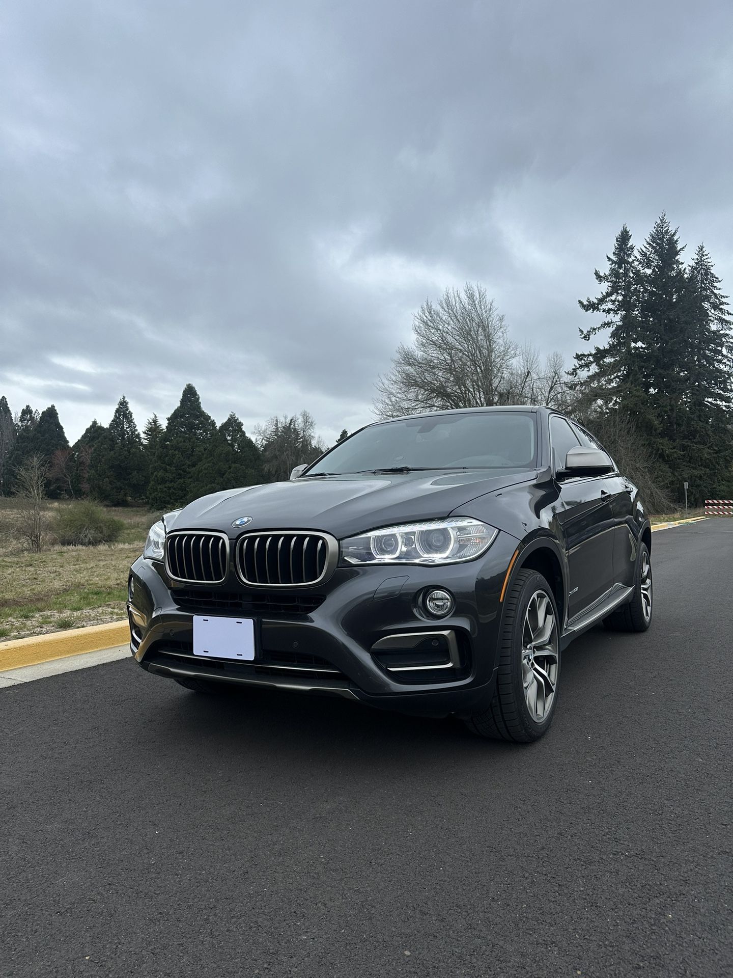 2016 BMW X6