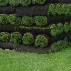 fresh sod cut 