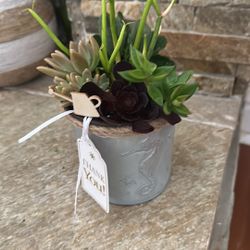 Teacher Appreciation Gift