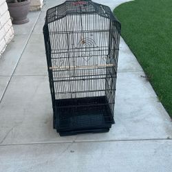Bird Cage