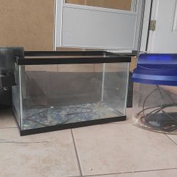 small fish tank