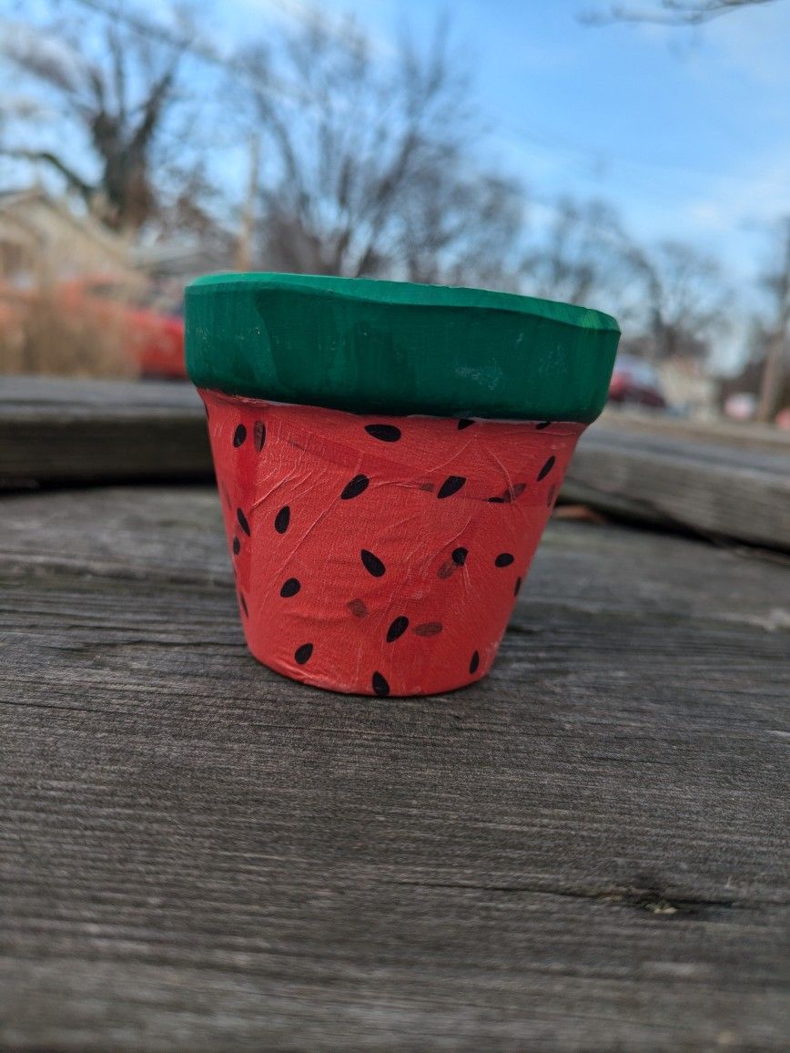 Watermelon Flower Pot