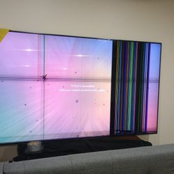 Samsung 70inch TV  Has Lines As You Can See