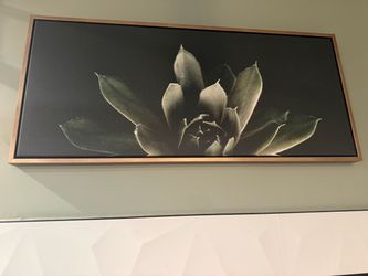 Large Framed Botanical Canvas Wall Art – 18” × 40”