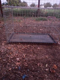 Medium size Kennel