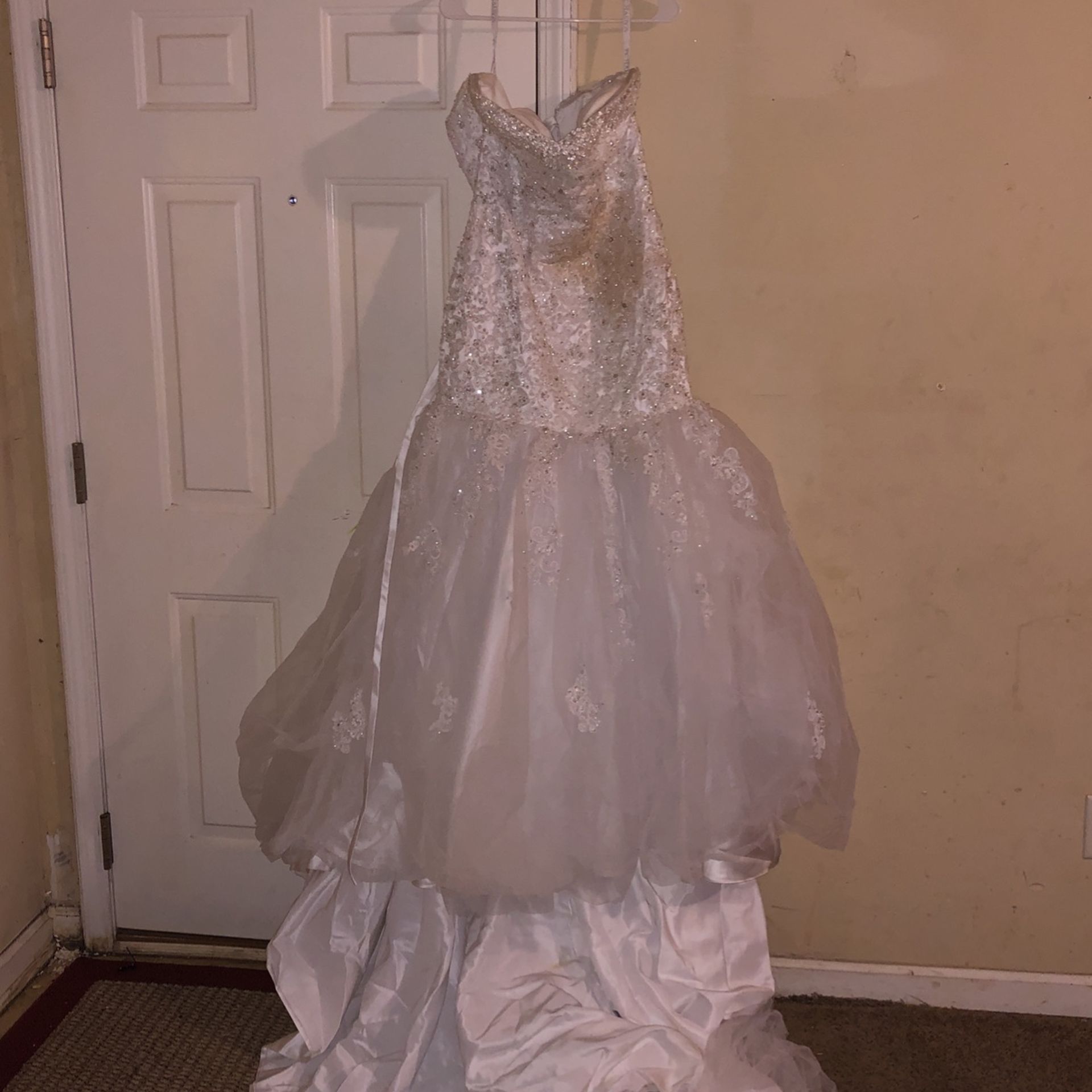 $1200 Wedding Dress With Veil For 800$ OBO