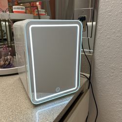 Mini Fridge 
