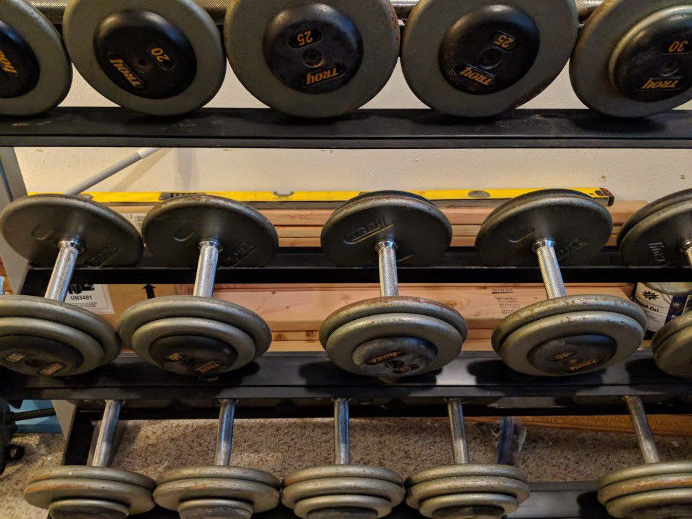 Troy Dumbbells and Rack