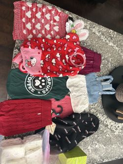 Small dog clothes/shoes/diapers