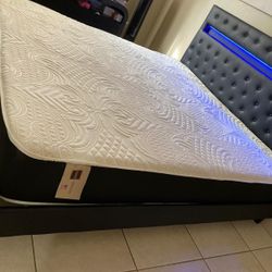 Bed Frame Queen Size Led Black New  (Mattress Sale For Separate)