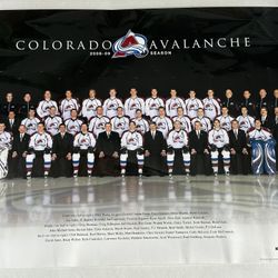 14 Vintage Colorado Avalanche Avs Team and Player Posters, Late 90s to Early 2000s