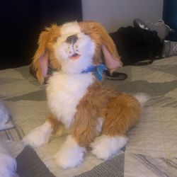 Robotic Therapy Dogg Freckled Pup