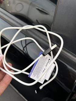 iPhone Charger