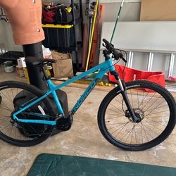 Mountain Bike