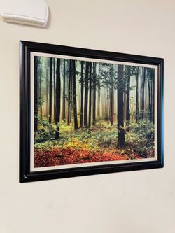 Framed Forest Landscape Wall Art Print
