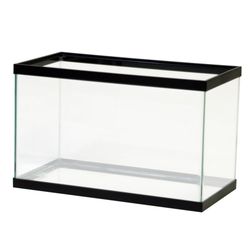 10 Gallon Glass Aquarium Tank
